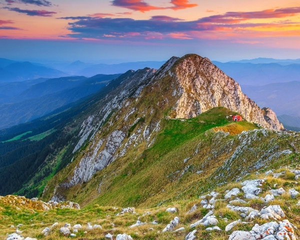 Поход в Пятра Краюлуй